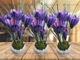 سایت آنلاین خرید گلدان گل زعفران